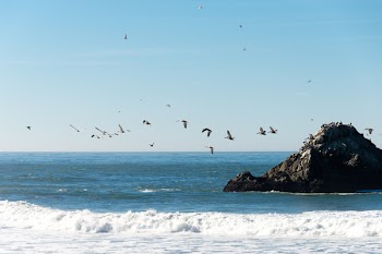 Free Photo of san francisco, ocean, beach