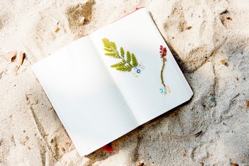 Free Photo of sand, beach, plants