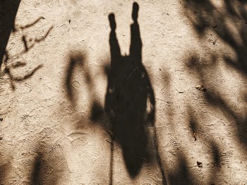 Free Photo of sand, beach, sunny