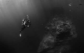 Free Photo of scuba diving, dive, bubbles