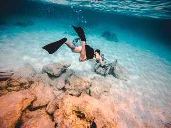 Free Photo of sea, ocean, blue