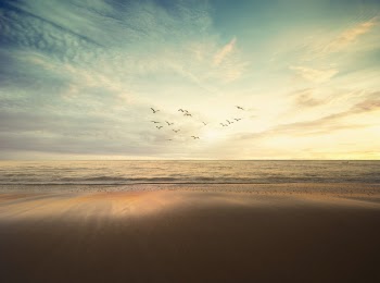Free Photo of sea, ocean, nature