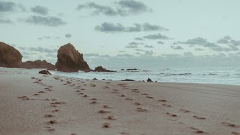 Free Photo of sea, ocean, water