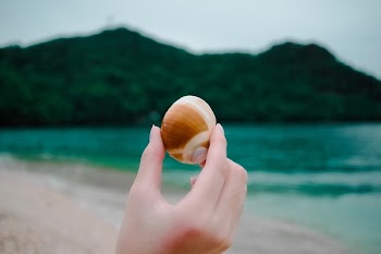 Free Photo of sea, ocean, water