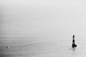 Free Photo of sea, ocean, water