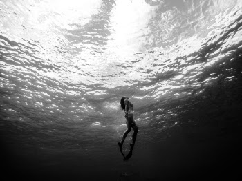 Free Photo of sea, ocean, water