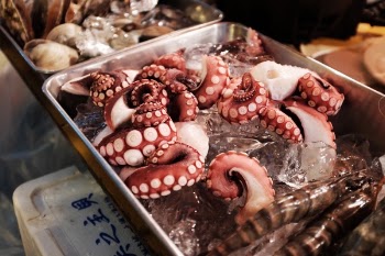 Free Photo of seafood, octopus, tentacles