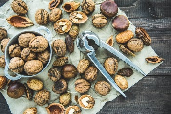 Free Photo of seeds, nut, food