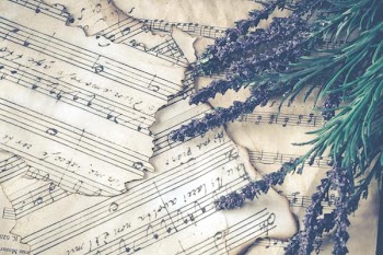 Free Photo of sheet music, vintage, lavender