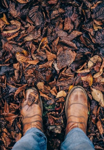 Free Photo of shoe, footwear, travel