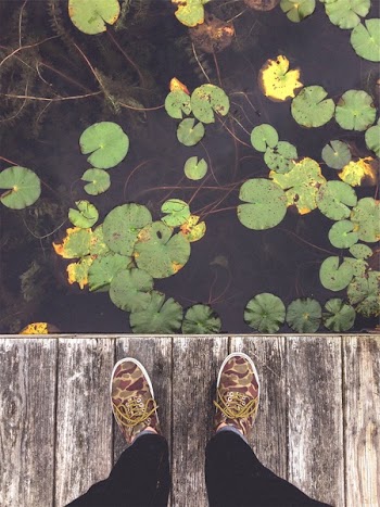 Free Photo of shoes, laces, dock