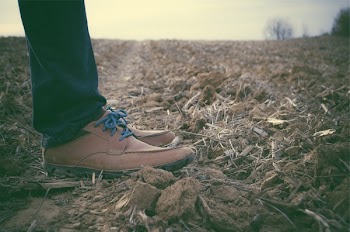 Free Photo of shoes, laces, jeans