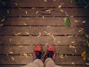 Free Photo of shoes, laces, wood