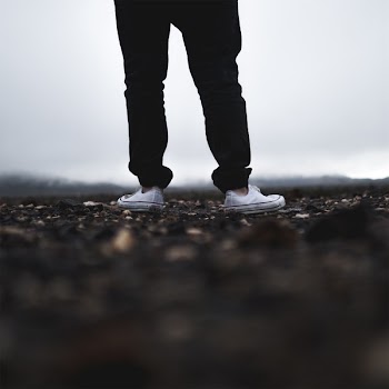 Free Photo of shoes, sneakers, converse