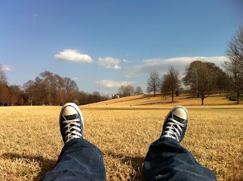 Free Photo of shoes, sneakers, laces