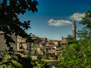 Free Photo of siena, tuscany, italy