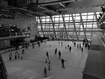 Free Photo of skating, rink, sports