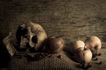 Free Photo of skull, art, apple