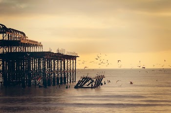 Free Photo of sky, sunset, birds