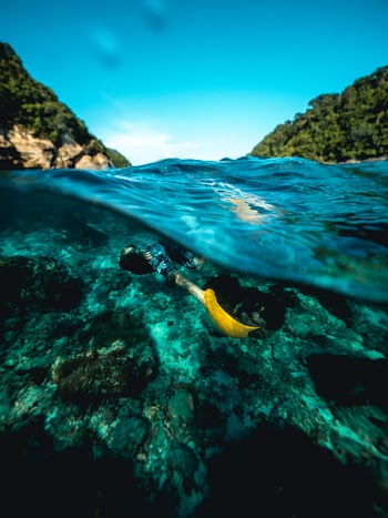 Free Photo of snorkeling, ocean, travel