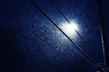 Free Photo of snow, falling, street