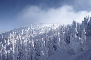 Free Photo of snow, winter, cold