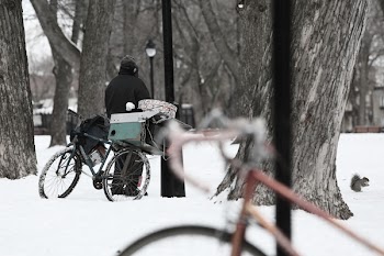 Free Photo of snow, winter, cold