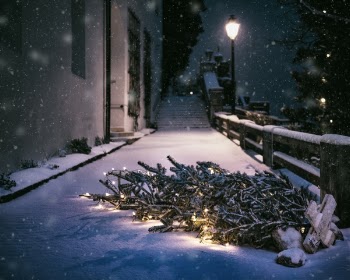 Free Photo of snow, winter, lights
