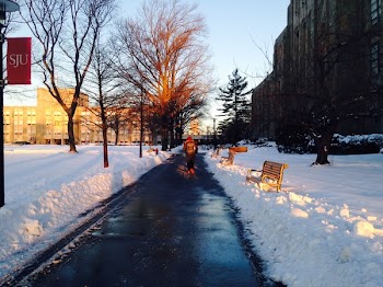 Free Photo of snow, winter, road