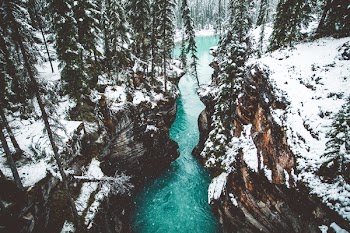 Free Photo of Snow, winter, snowing