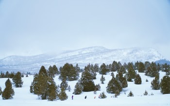 Free Photo of snow, winter, white
