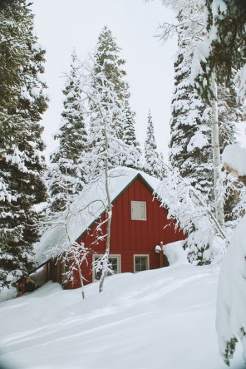 Free Photo of snow, winter, white