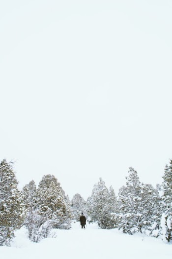 Free Photo of snow, winter, white