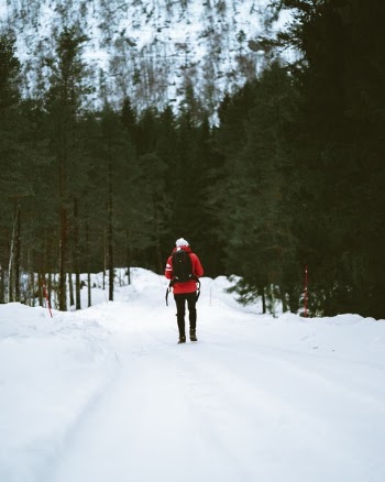 Free Photo of snow, winter, white