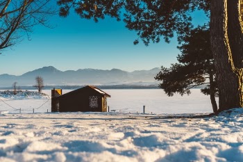 Free Photo of snow, winter, white