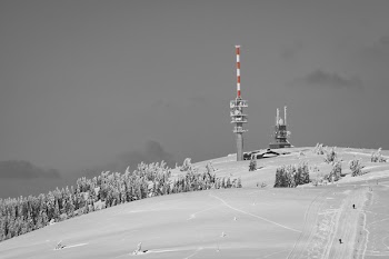 Free Photo of snow, winter, white