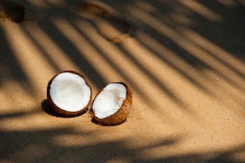 Free Photo of split, coconut, sand