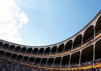 Free Photo of stadium, arena, crowd