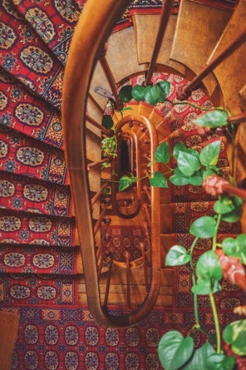 Free Photo of stairs, stairway, carpet