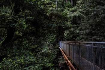 Free Photo of steel, metal, bridge