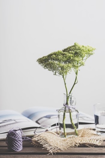 Free Photo of still, items, things