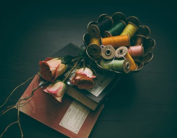 Free Photo of still, items, things