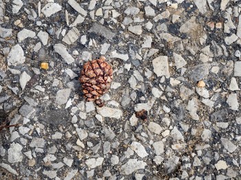 Free Photo of still, items, things