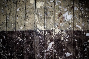 Free Photo of still, items, things