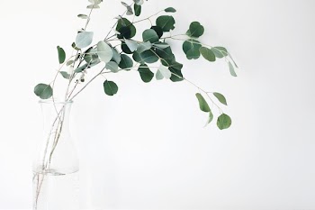 Free Photo of still, items, things