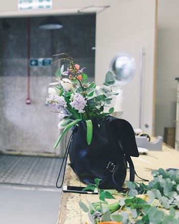 Free Photo of still, items, things