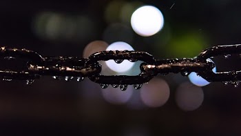 Free Photo of still, items, things