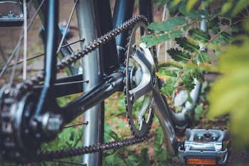 Free Photo of still, items, things