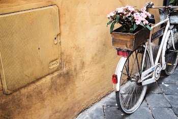 Free Photo of still, items, things