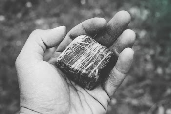 Free Photo of still, items, things